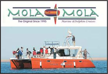 mola-mola-image-4
