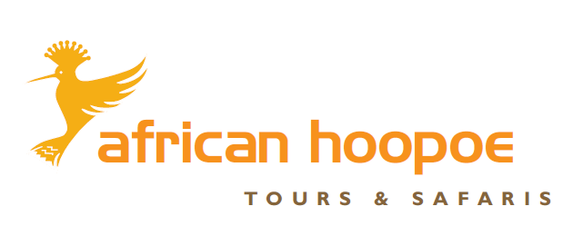 African Hoopoe Tours
